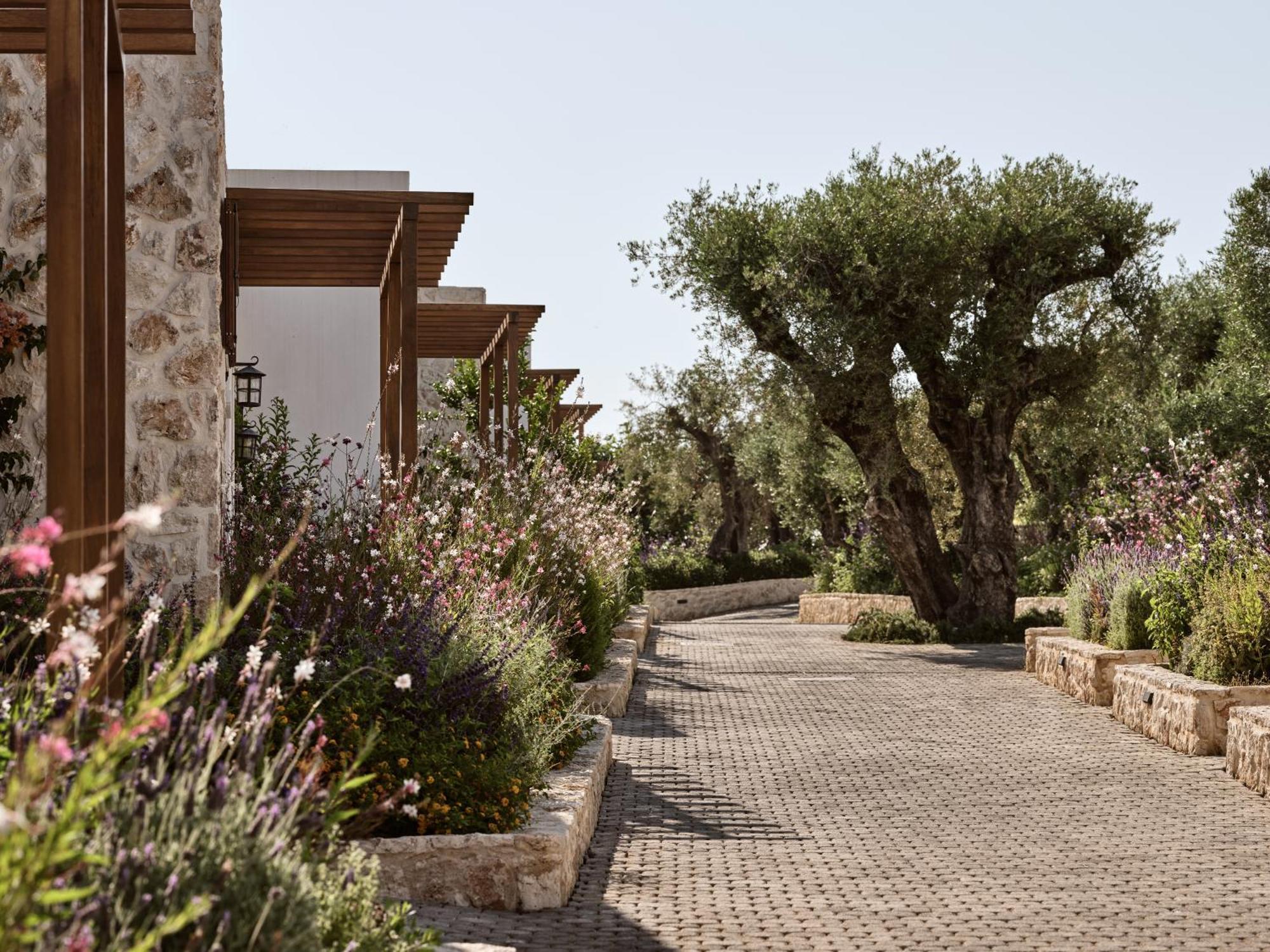 Hotel Lesante Cape & - The Leading Of The World